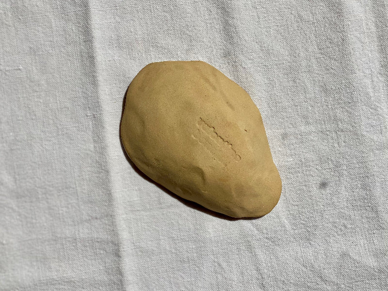 valentine-benoist-ceramics-studio-oyster-dish-soft-warm-clay-brushed-white-back
