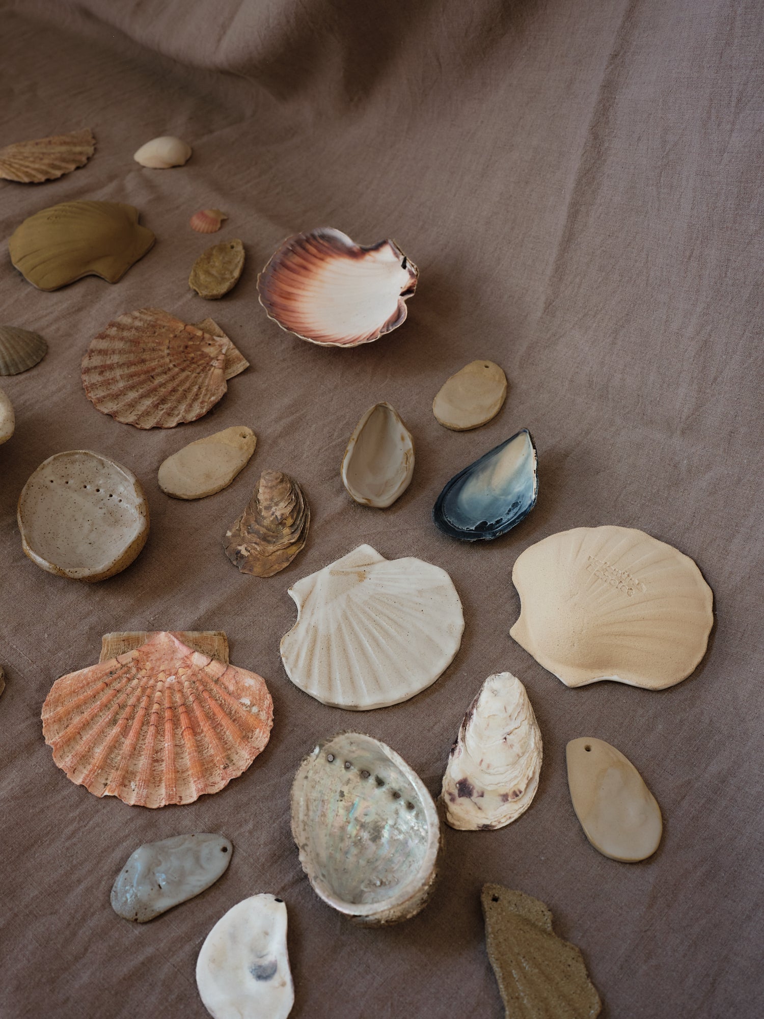 Coquilles