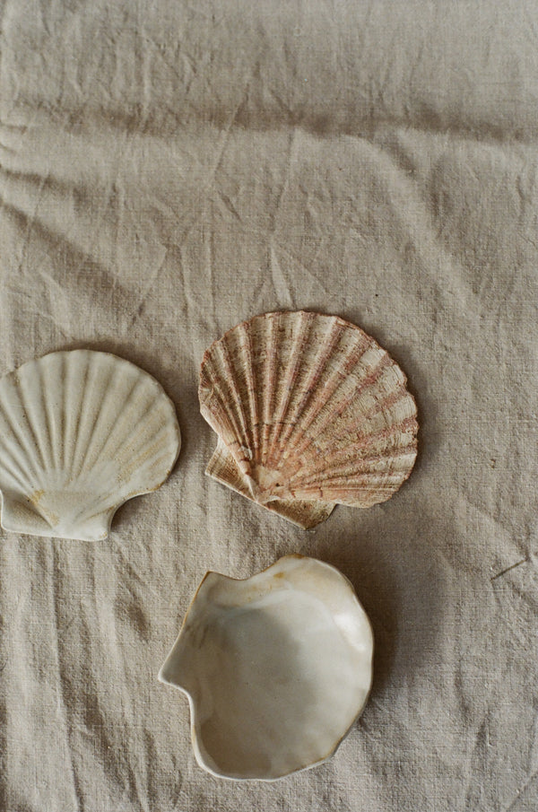 Coquilles
