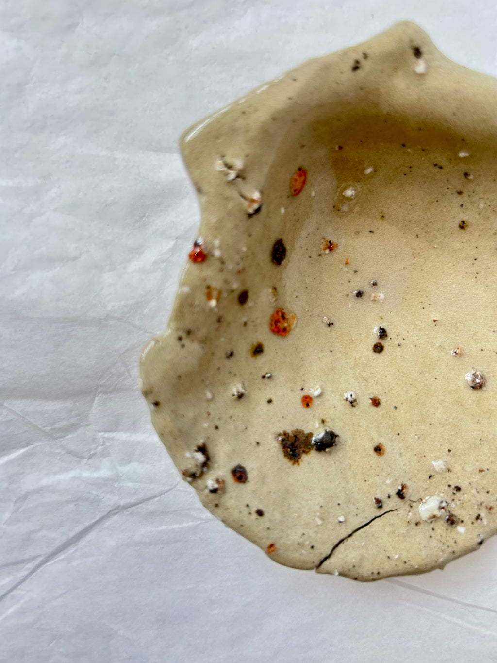 Scallop Shell Dish - Beige Stoneware - Wood-Fired