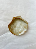 Scallop Shell Dish - Beige Stoneware - Wood-Fired