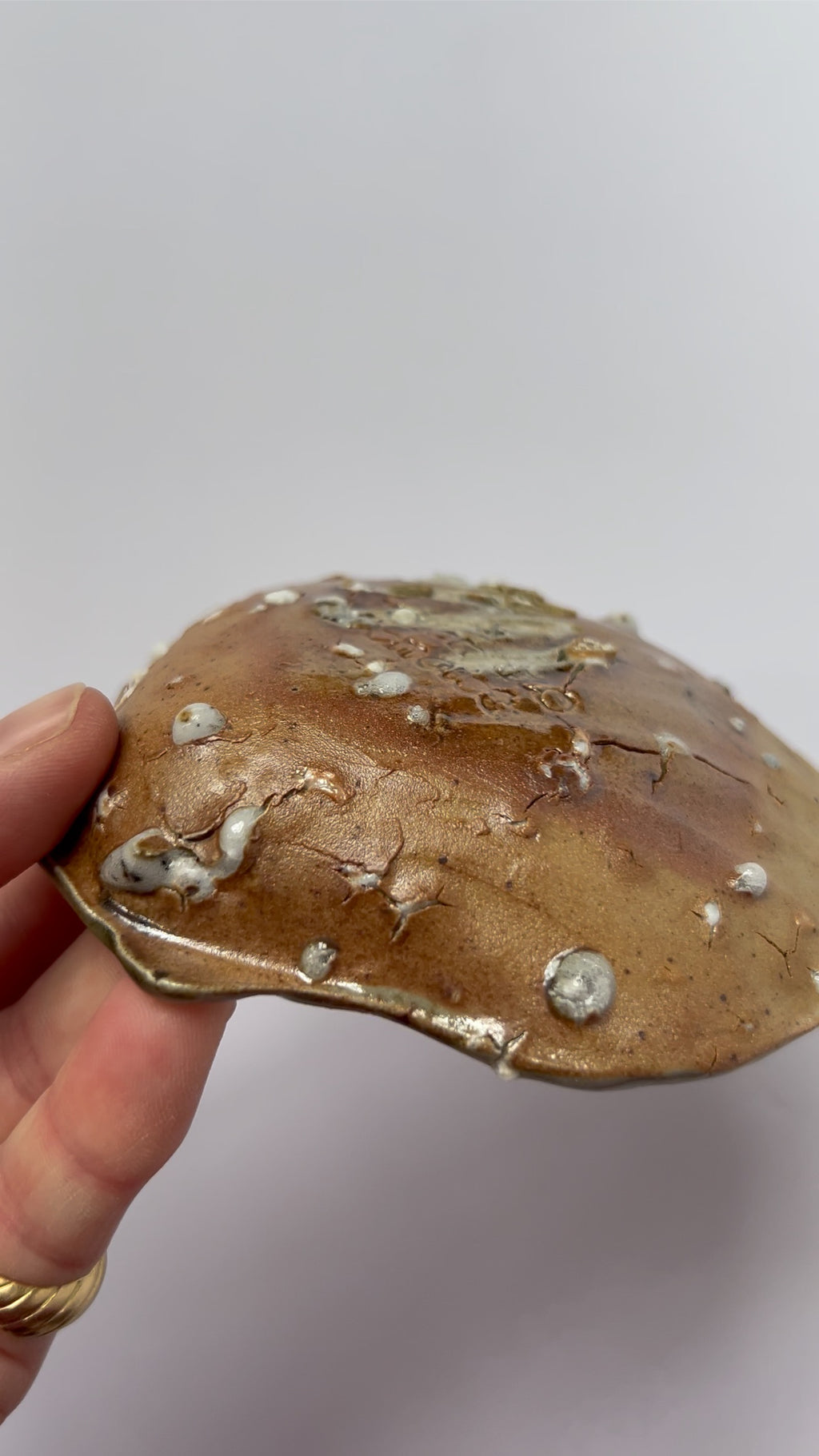 Scallop Shell Dish - Beige Stoneware - Wood-Fired