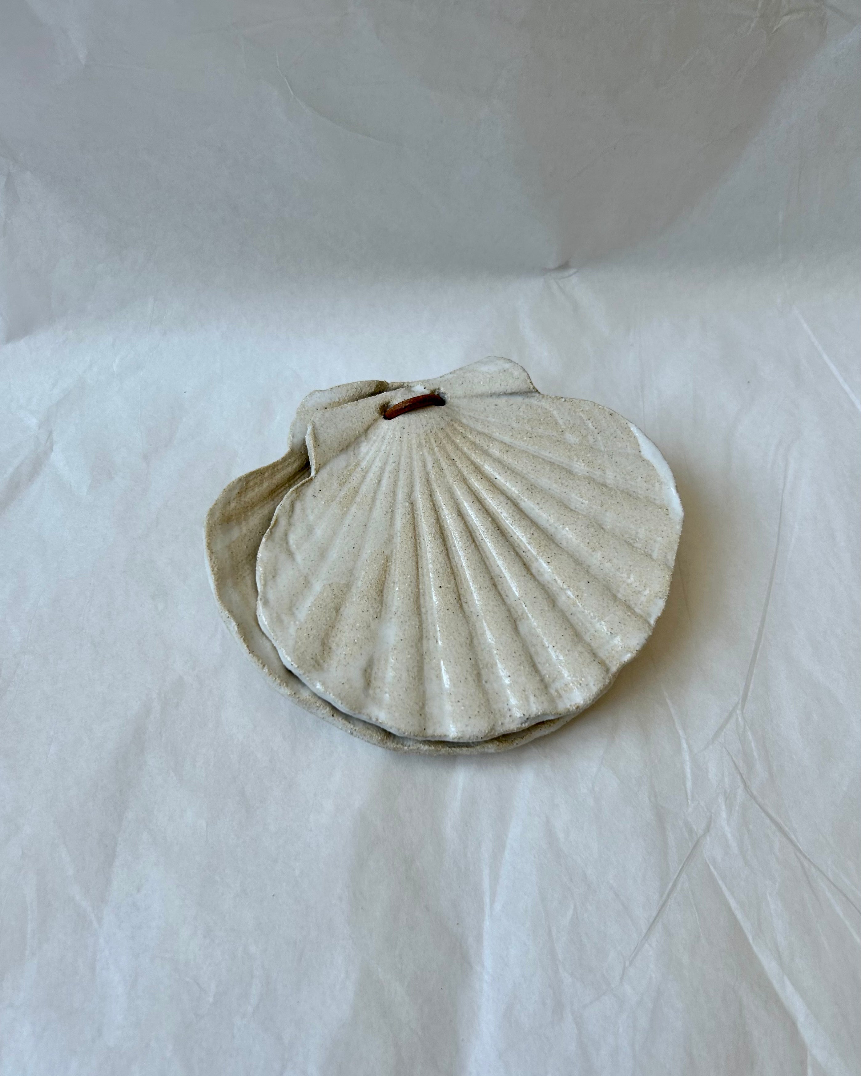 Scallop Shell Box - Beige Stoneware - Gloss White