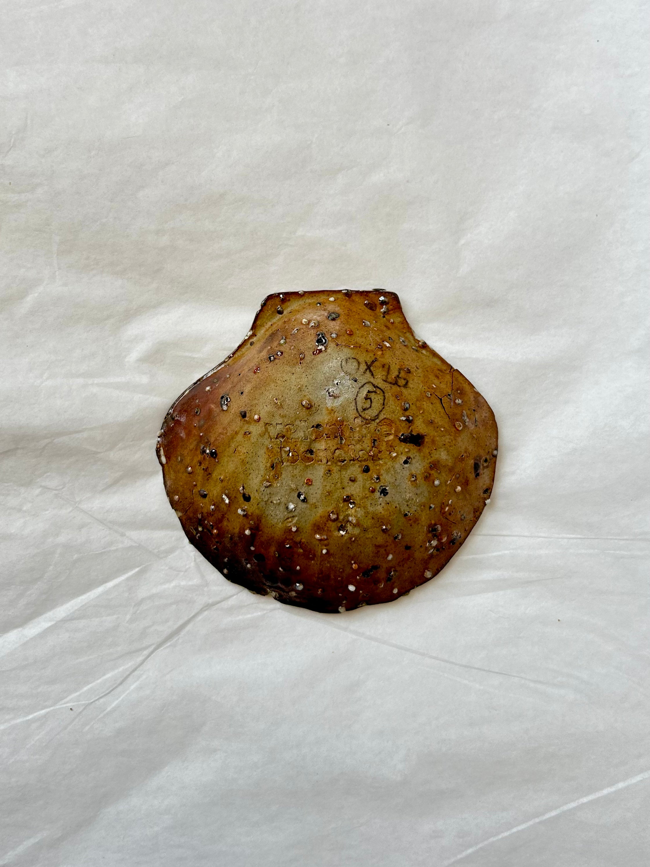 Scallop Shell Dish - Beige Stoneware - Wood-Fired
