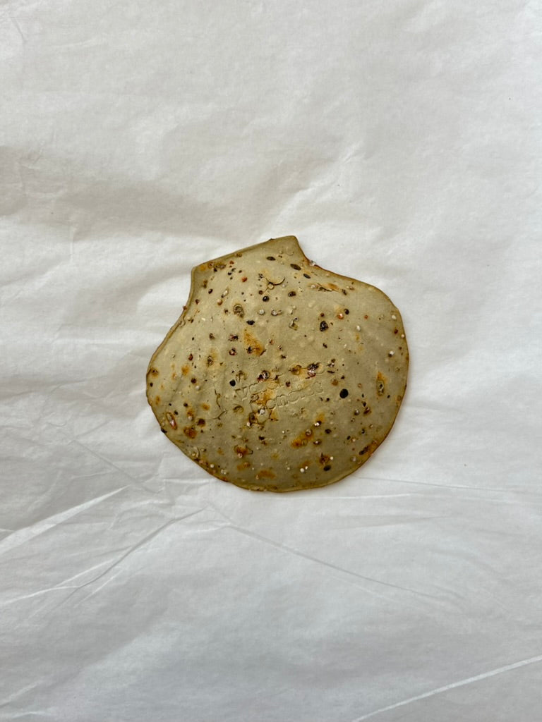 Scallop Shell Dish - Beige Stoneware - Wood-Fired
