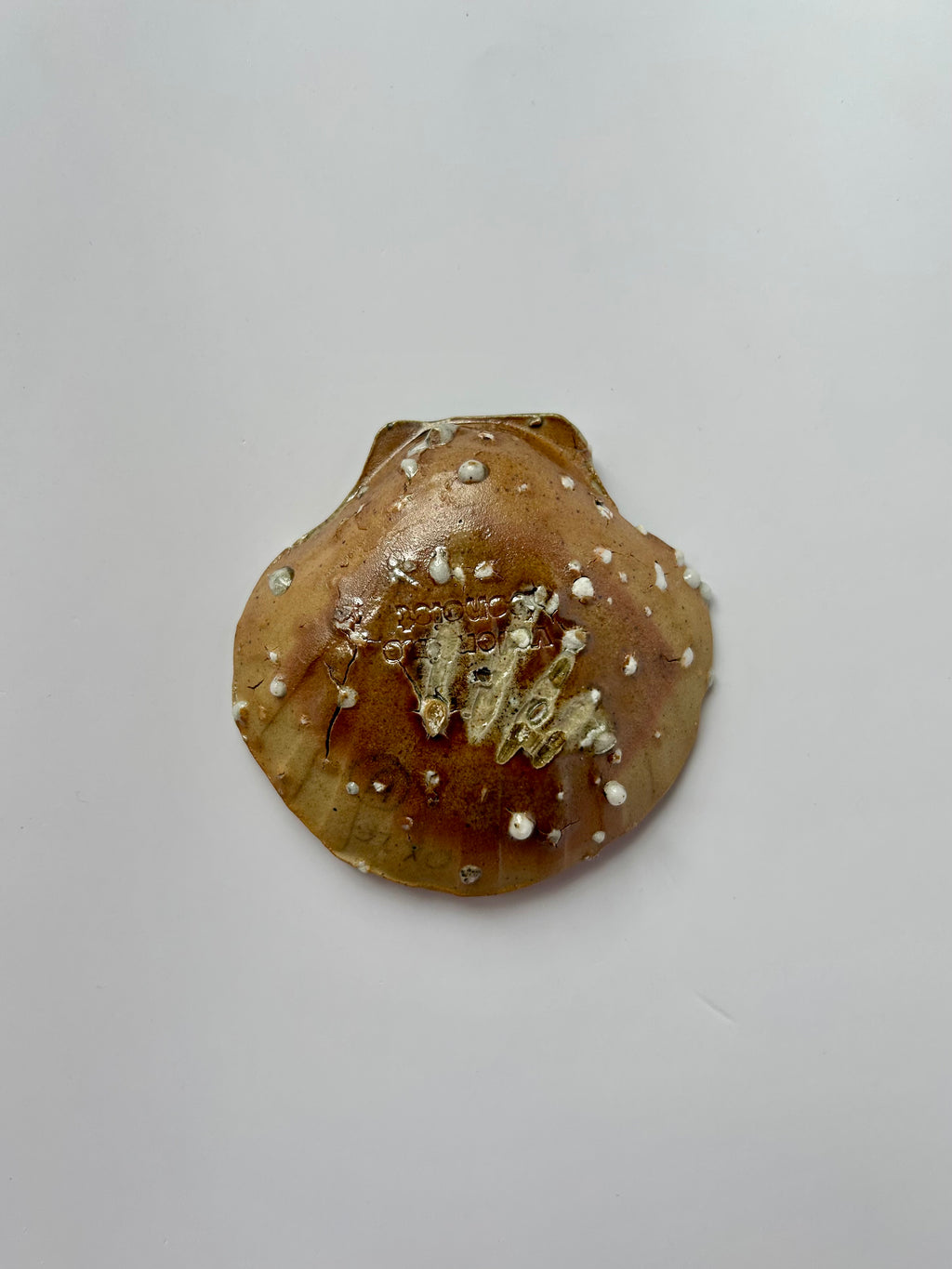 Scallop Shell Dish - Beige Stoneware - Wood-Fired