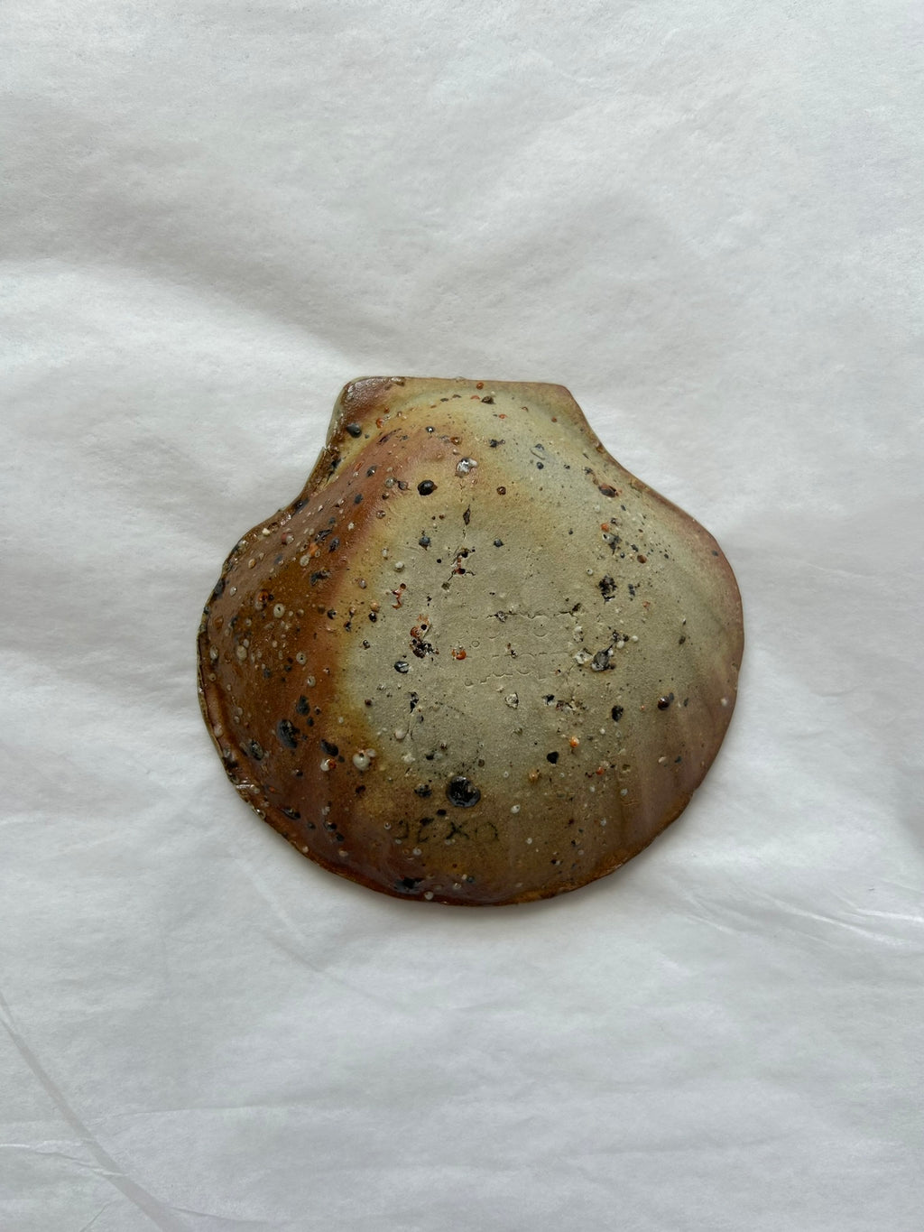 Coupelle Coquille Saint-Jacques OX14 - Grès, Laisse de Mer - Feu de Bois 05/2026