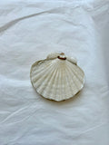 Scallop Shell Box - Beige Stoneware - Gloss White