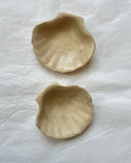 Coupelle Coquille Saint-Jacques - Grès Beige - Émail Cendres