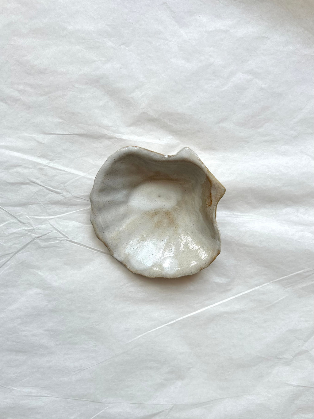 Coupelle Coquille Saint-Jacques - Grès Beige - Blanc Gloss