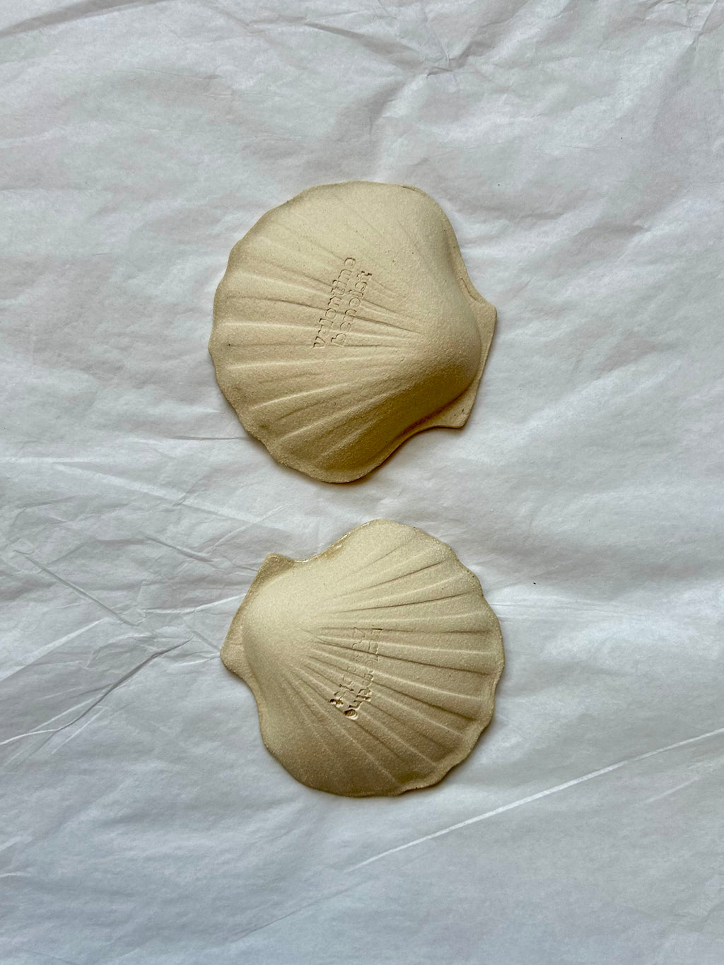 Coupelle Coquille Saint-Jacques - Grès Beige - Émail Cendres