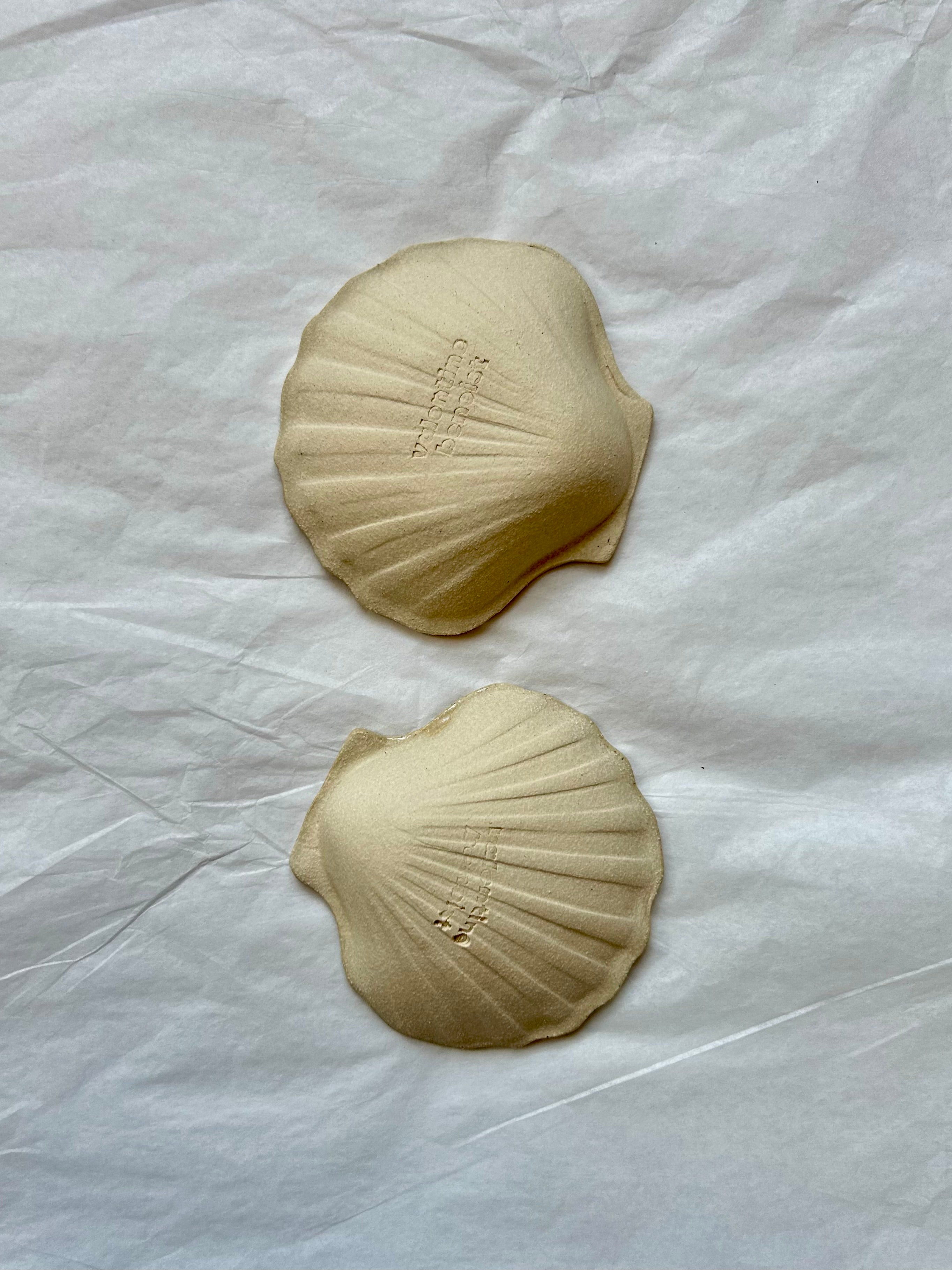 Coupelle Coquille Saint-Jacques - Grès Beige - Émail Cendres