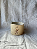 Ce Qu'Il Reste ~ Vase n°03