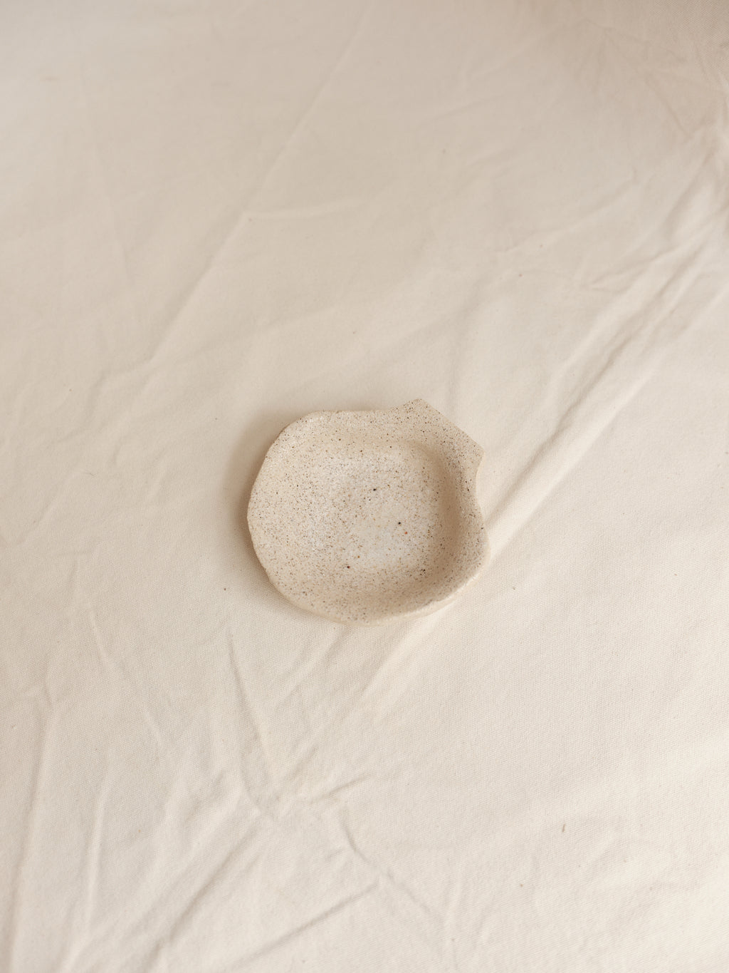 Scallop 02