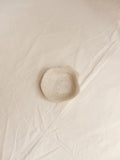 Scallop 02