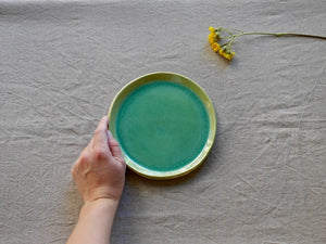 my-hungry-valentine-ceramics-studio-plate-18-nt-celadon-top-hand