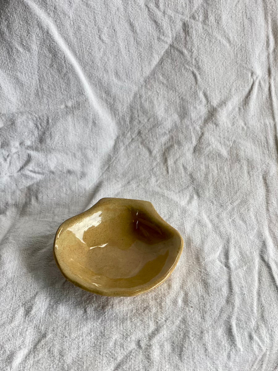 Coupelle Coquille Saint-Jacques - Grès Roux - Transparent