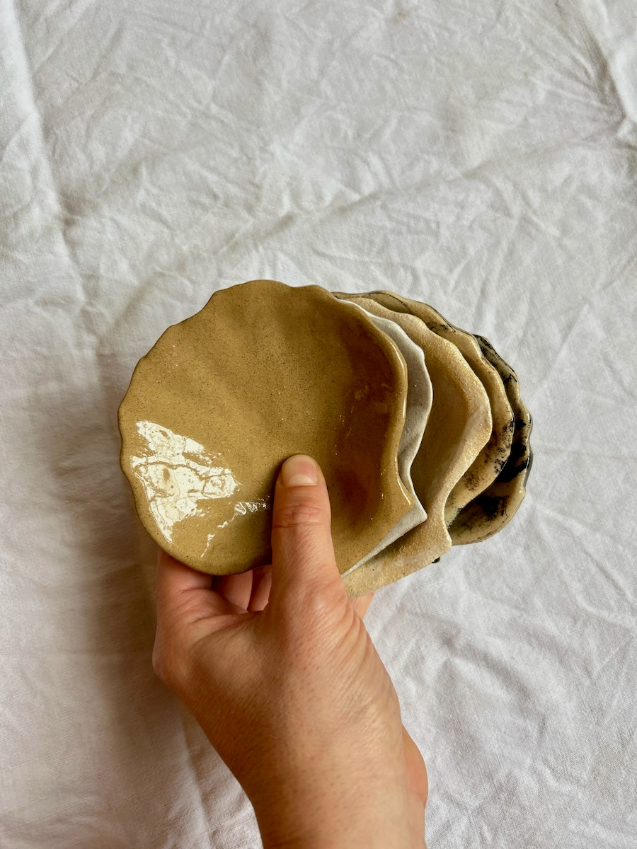 Coupelle Coquille Saint-Jacques - Grès Toasté - Transparent