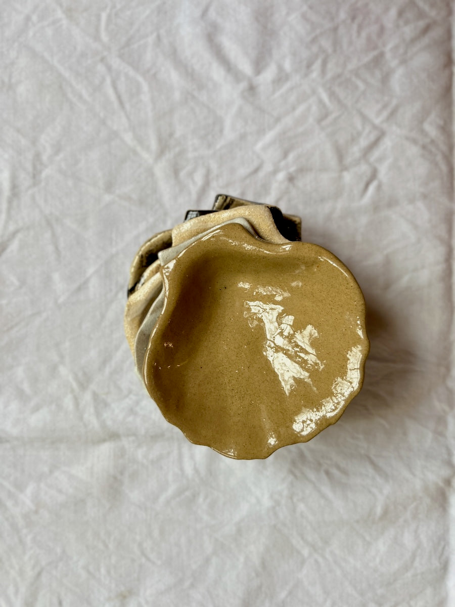 Coupelle Coquille Saint-Jacques - Grès Toasté - Transparent