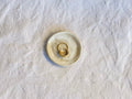 Mini Coupelle - ⌀7 cm - Grès Doux - Blanc Gloss Brossé