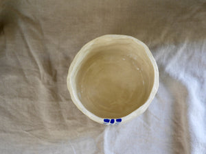 my-hungry-valentine-ceramics-studio-planter-nt-transparent-cobaltbrush-top